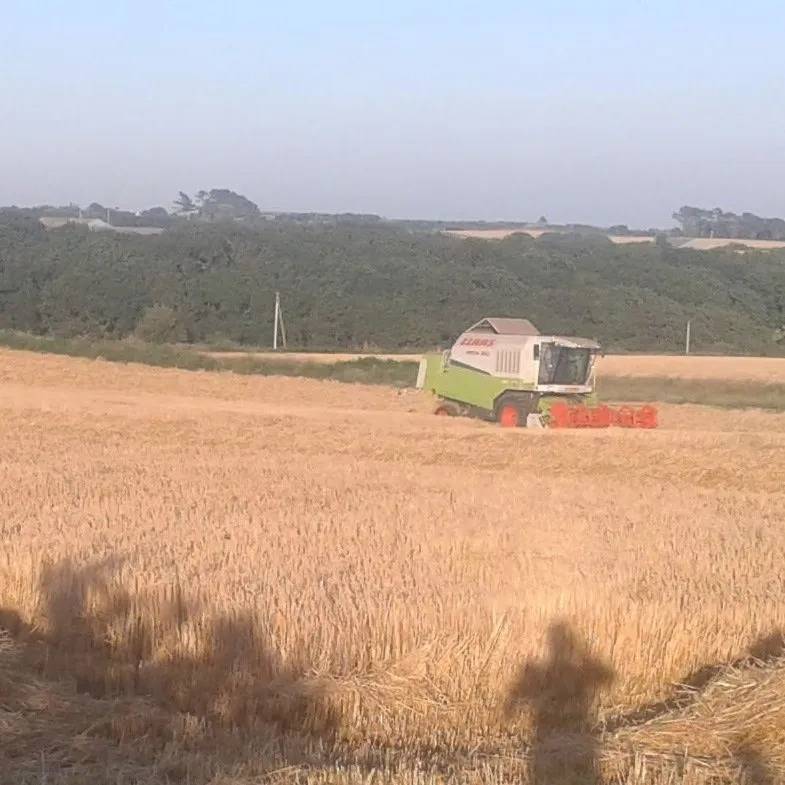 alain-lamour-agricole-travaux