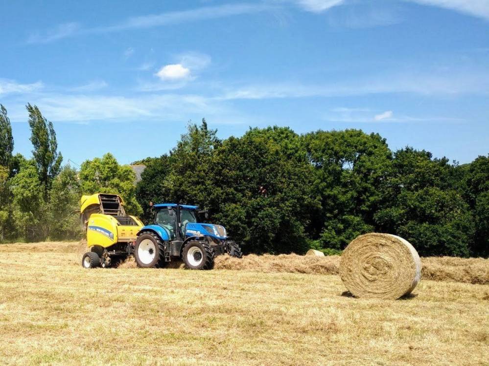 alain-lamour-agricole-gestion